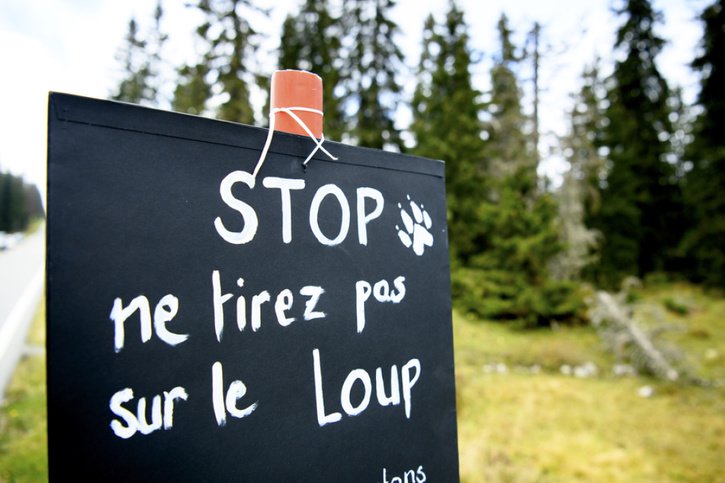 L'automne dernier, des défenseurs des loups avaient protesté contre les tirs de régulation dans le Jura vaudois (archives). © Keystone/LAURENT GILLIERON