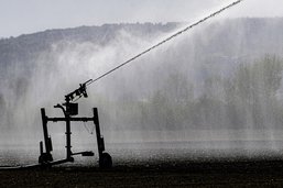 Le Conseil fédéral veut un système d’alerte précoce en cas de sécheresse