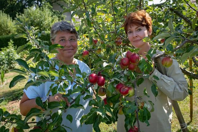Une association pour sauver les fruits oubliés des vergers fribourgeois