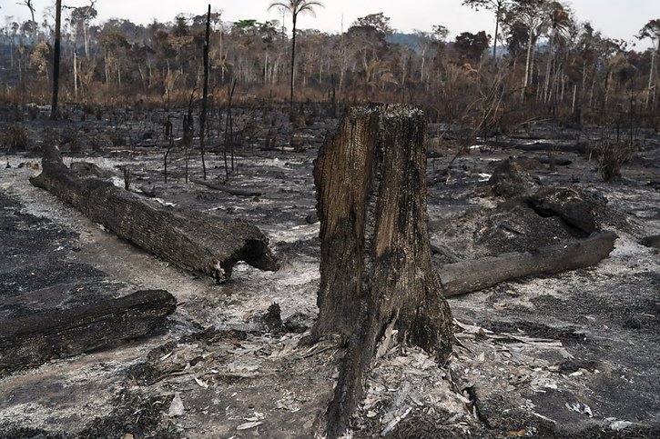 Depuis 2019, la déforestation moyenne annuelle en Amazonie au Brésil a augmenté de 75% par rapport à la décennie précédente (archives). © KEYSTONE/AP/LEO CORREA