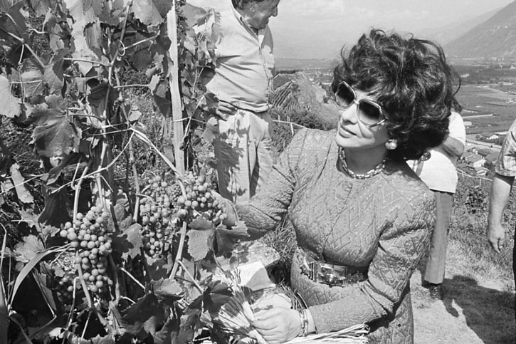 Gina Lollobrigida avait taillé la "vigne à Farinet" en 1993 à Saillon (VS) (archives). © KEYSTONE/STR
