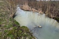 Ruisseau pollué à Prez-vers-Noréaz