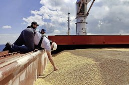 Sursis pour l’exportation des céréales