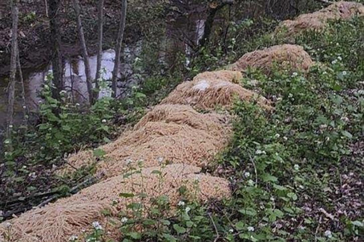 Plusieurs centaines de kilogrammes de pâtes non cuites sorties de leurs emballages et jetées au bord du ruisseau à Old Bridge. © KEYSTONE/AP