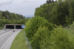 Pont pour la faune sur l’A12