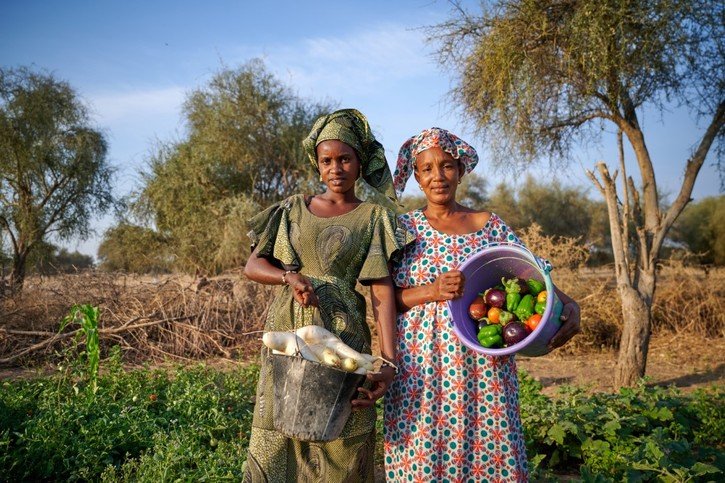 Pour pallier l’insécurité alimentaire, des jardins maraîchers, avec une approche agroécologique, ont été ouverts dans le Ferlo, au Sénégal. © Christian Bobst/DR