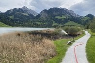 Planfayon: Un incendie ravage des roseaux au Lac-Noir