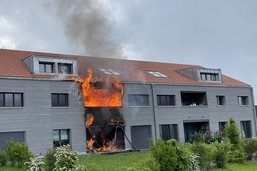 Habitants, chien et tortues sauvés: Un immeuble prend feu à Chapelle