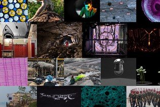 Concours FNS d’images scientifiques 2024: dix-huit oeuvres primées