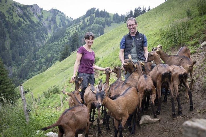 Sur nos montagnes (3/7): La vraie vie d’Heidi et Peter