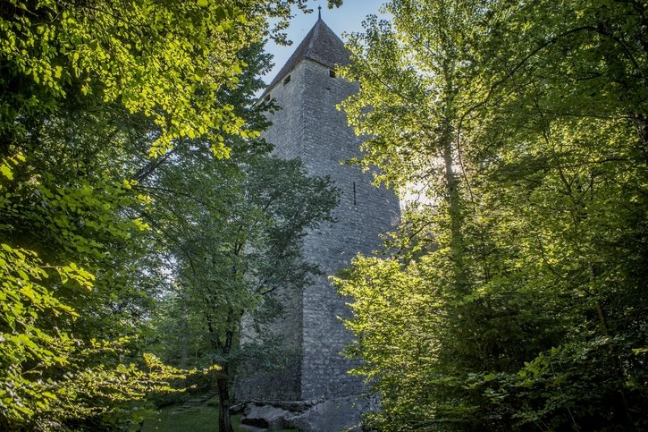 Broye: Fête médiévale au pied de la tour de la Molière à Murist